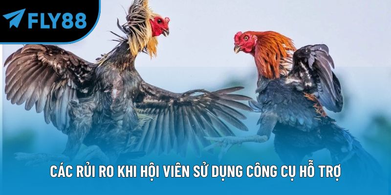 Các rủi ro khi hội viên sử dụng công cụ hỗ trợ